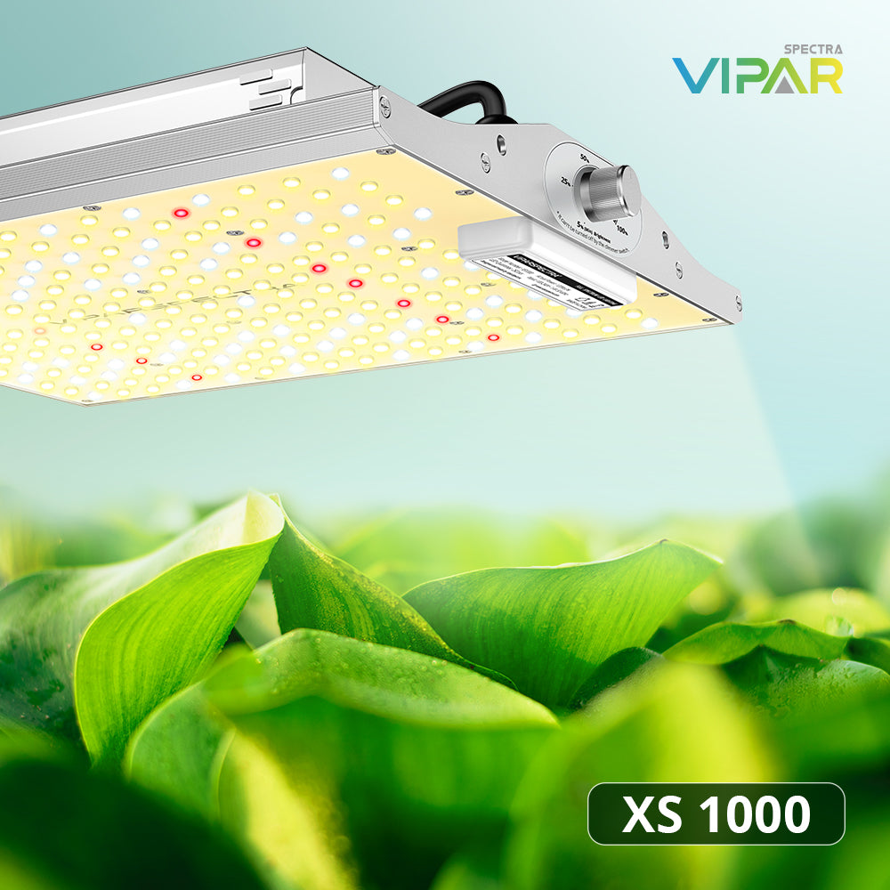 High Performance Less Energy Consumption-ViparSpectra XS1000 LED Grow