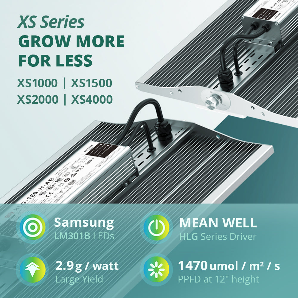 All You Need to Know About ViparSpectra XS LED Grow Lights