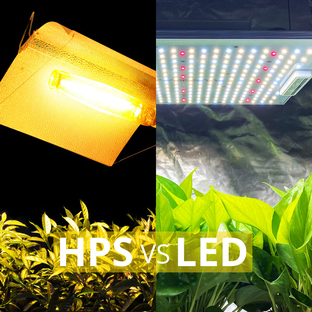 Yellow led grow lights discount