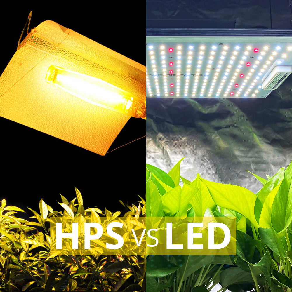 HPS vs. LED grow lights