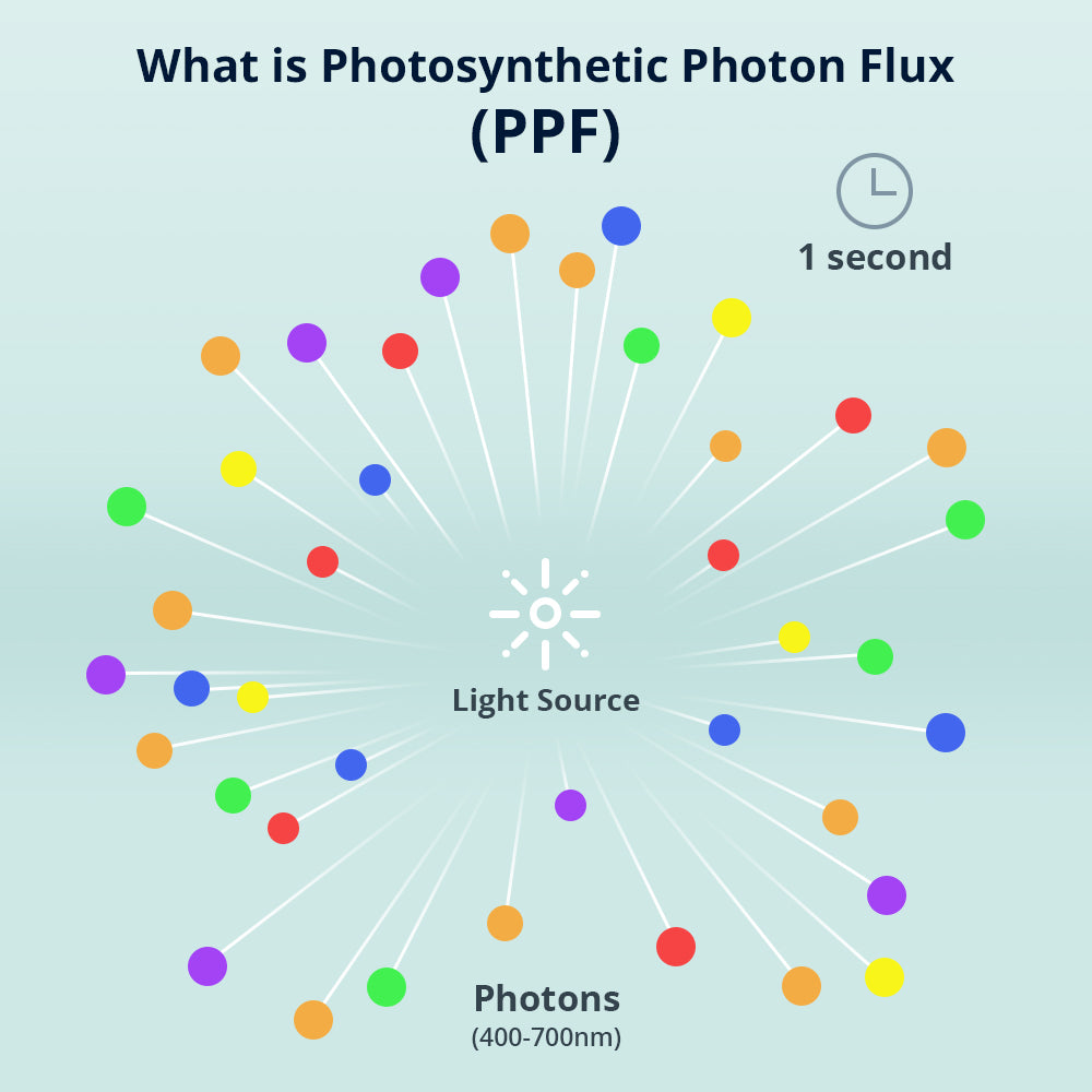 PPF in grow light