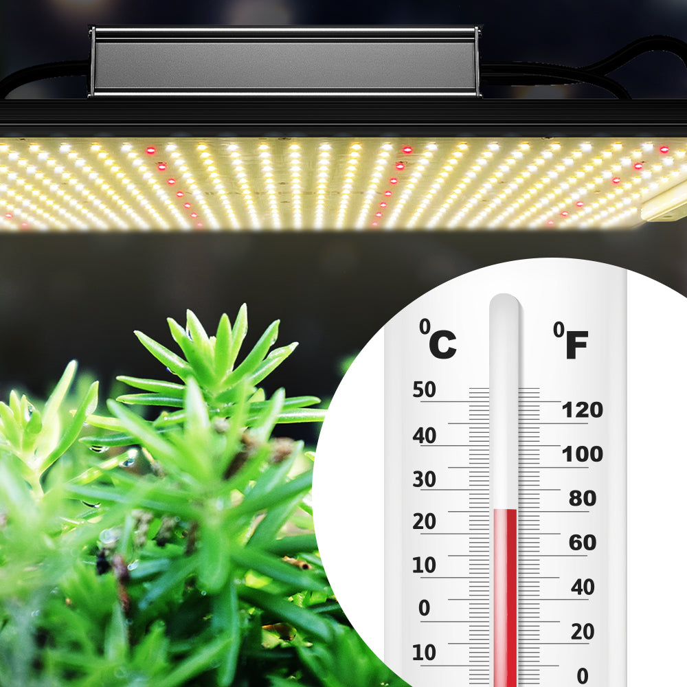 Temperature Affecting Plant Growth