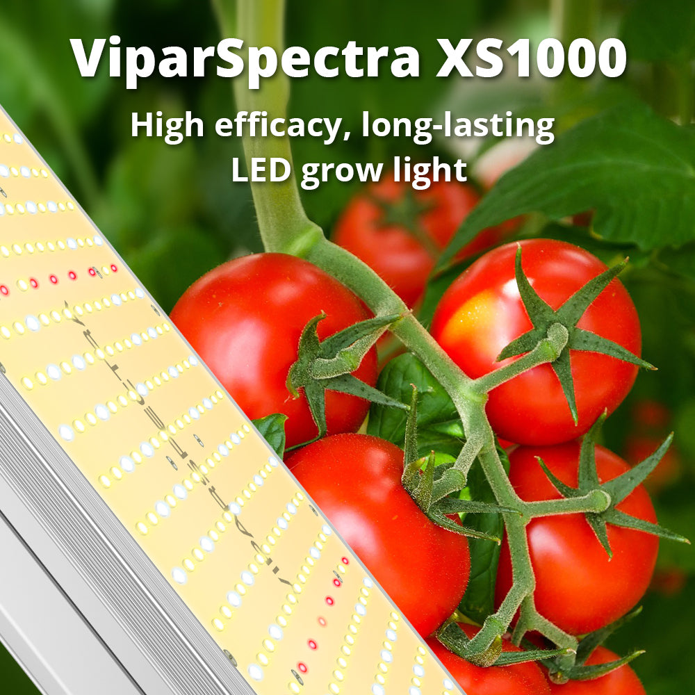 LED grow light