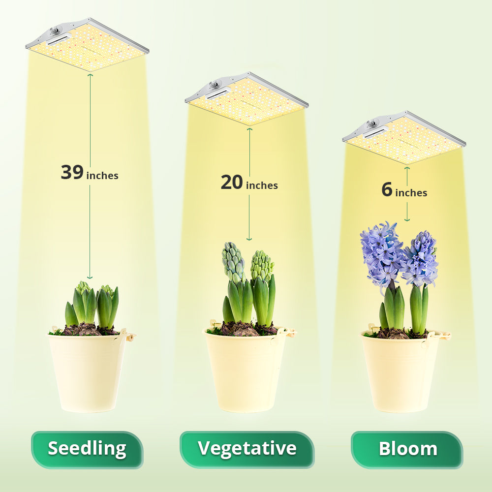 Difference Between LED Lights And Grow Lights: Are LED Lights Better For  Plants