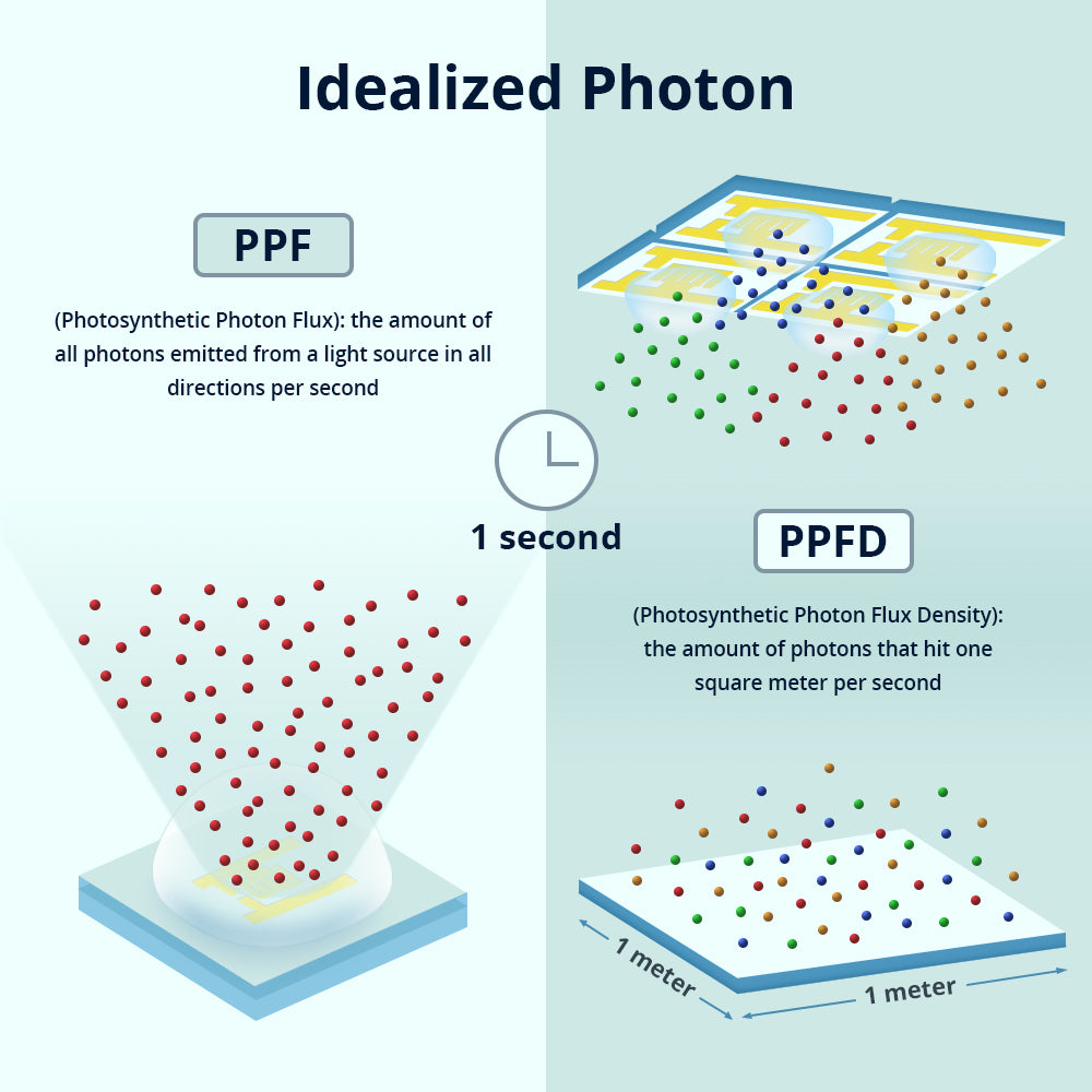 PPF VS. PPFD, Which Matters Most for Horticultural Growers