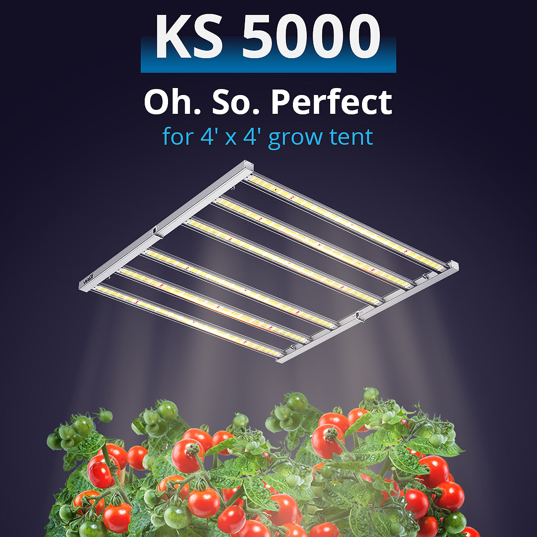 KS5000 - The Best Grow Light Available for Your 4’ x 4’ Grow Tent
