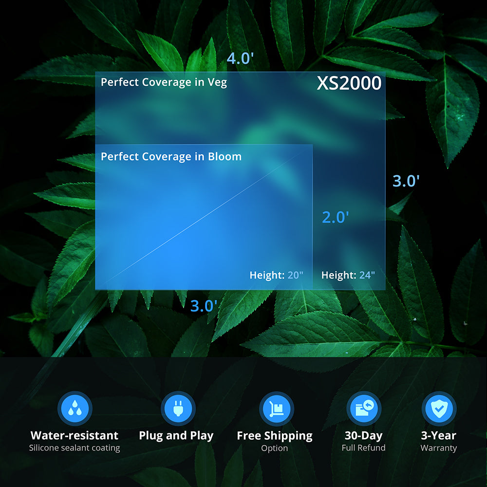 LED grow light