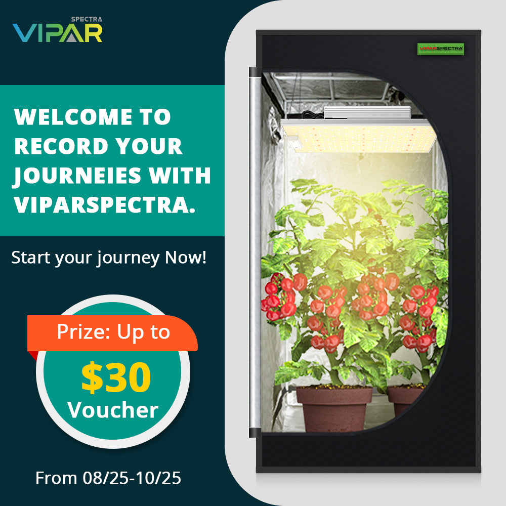 ViparSpectra Giveaway
