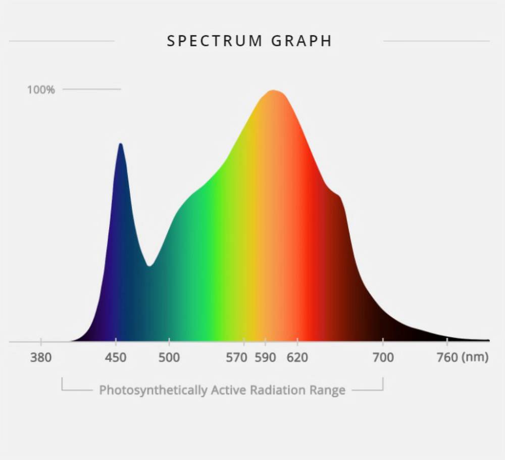 How to Choose an Ideal Full Spectrum LED Grow Light – ViparSpectra