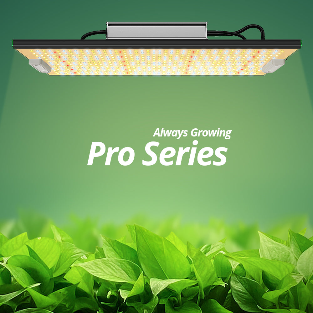 Best Budget LED Grow Lights - ViparSpectra P Series