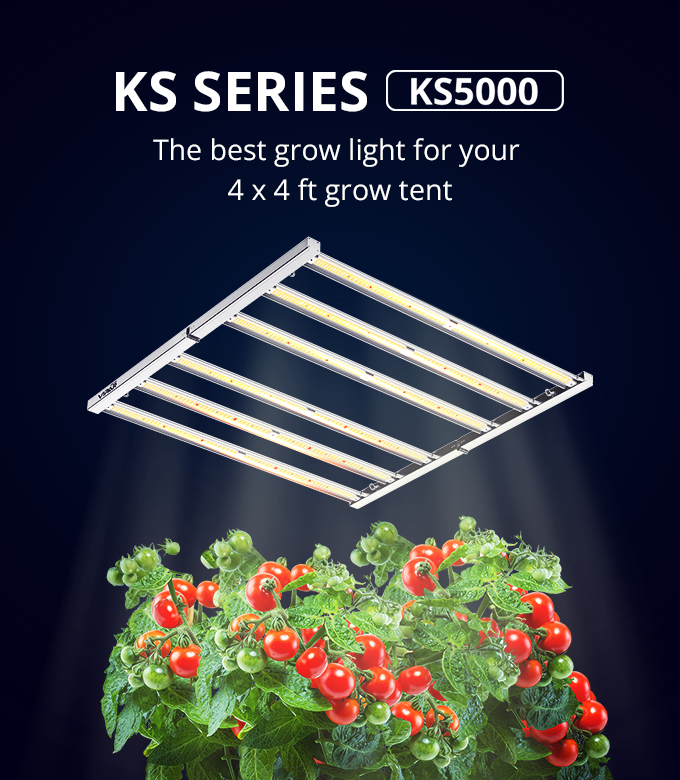 ViparSpectra - Best LED Grow Lights in the World ViparSpectra - Best LED Grow Lights in the World